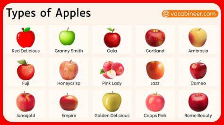 What is the common name of Apple?