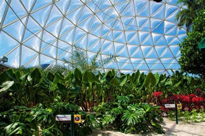 What is the definition of Biodome?