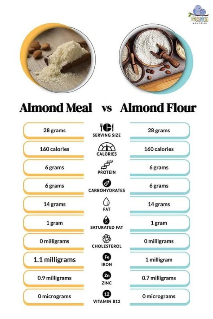 What is the difference between blanched almond flour?