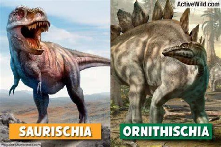 What is the difference between ornithischian and saurischian dinosaurs?