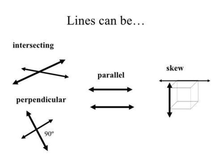 What is the difference between parallel and skew lines?