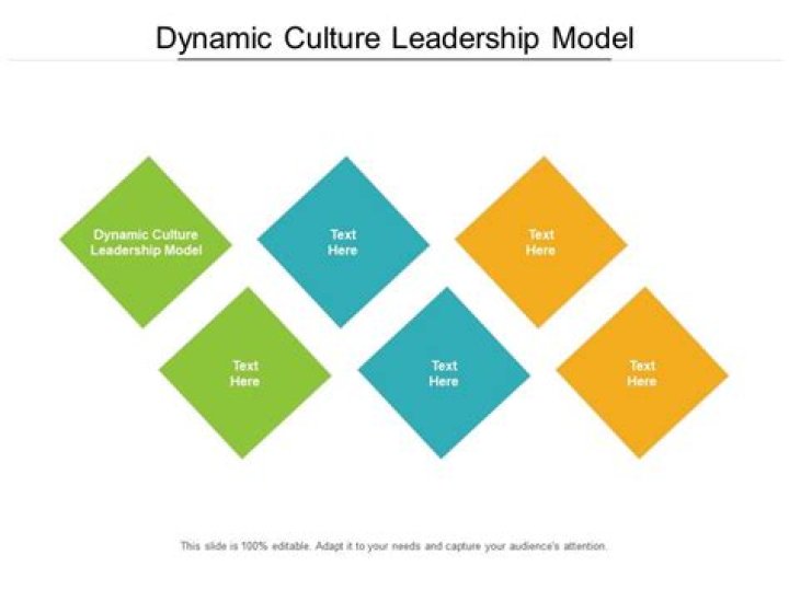 What is the dynamic culture leadership model?