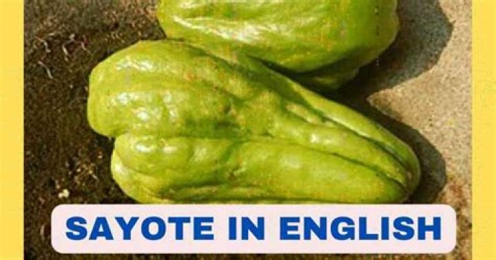 What is the English name of Kovakkai?