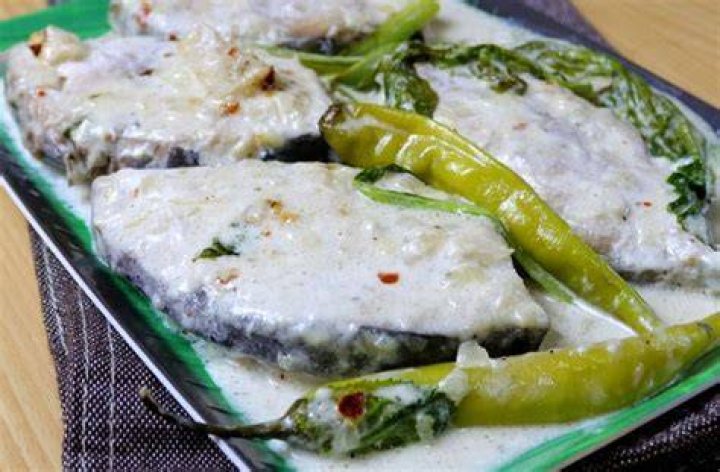 What is the english of tanigue?