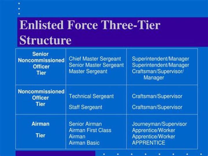 What is the enlisted force structure?
