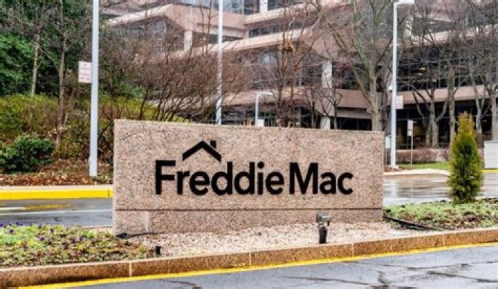 What is the Freddie Mac First Look program?