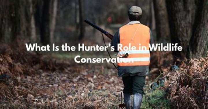 What is the hunter’s role in wildlife conservation?