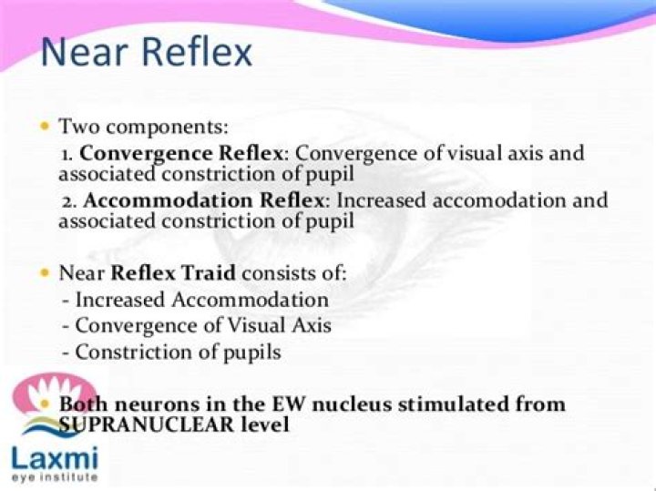 What is the importance of the convergence reflex?