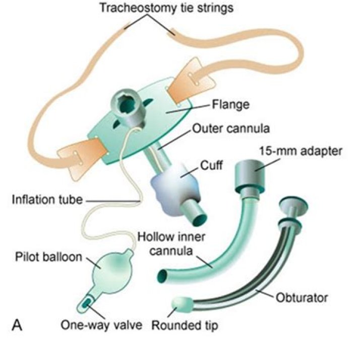 What is the main purpose of the tracheostomy cuff?