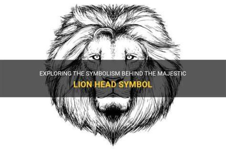 What is the meaning of the lion head symbol?