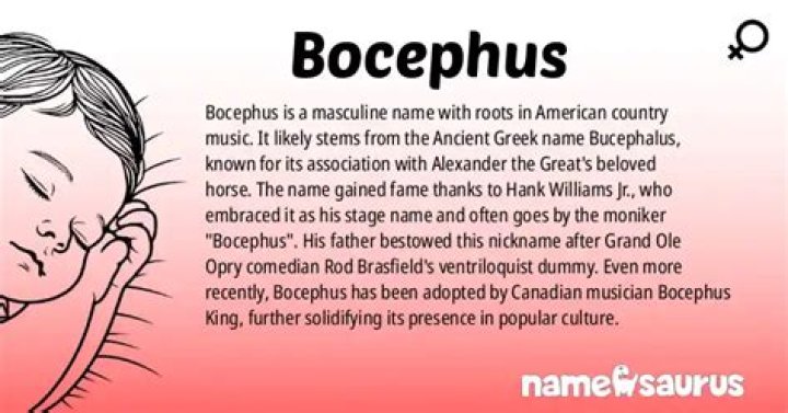What is the meaning of the word bocephus?