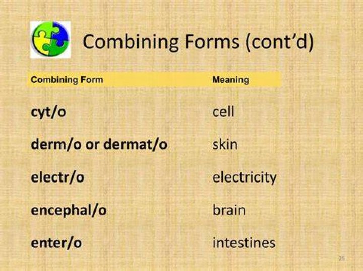 What is the medical meaning of the combining form Lith o -?