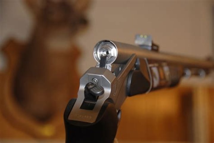 What is the most popular type of muzzleloader?