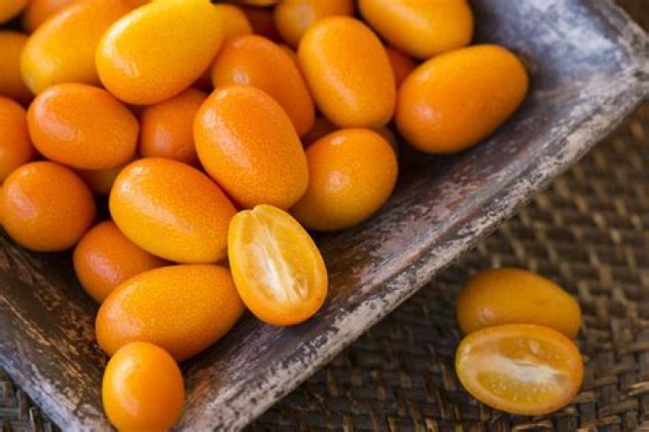 What is the name of small oranges?