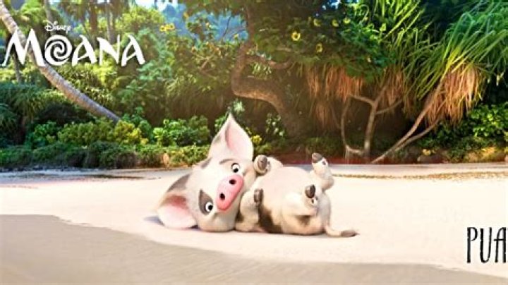 what is the pigs name in moana?