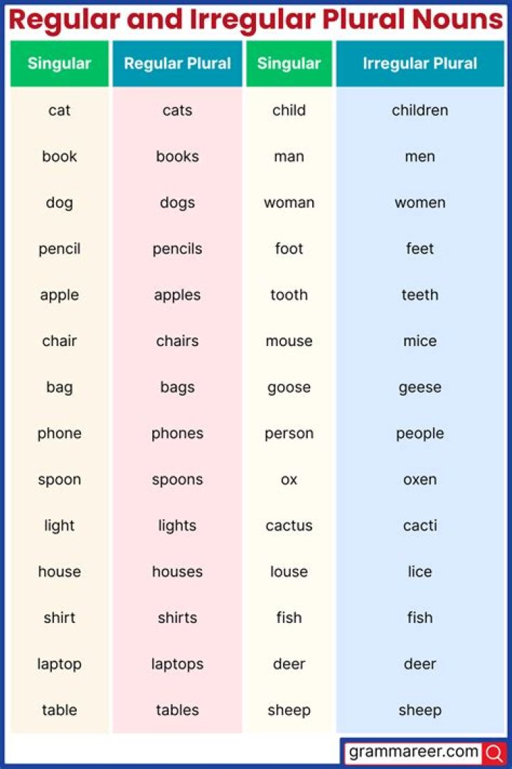 What is the plural for tomato?