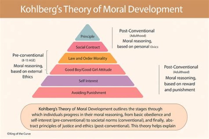What is the primary focus of health psychology?
