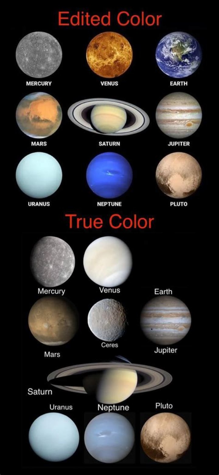 What is the real color of the Drees?
