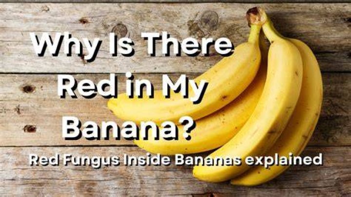 What is the red stuff in my banana?