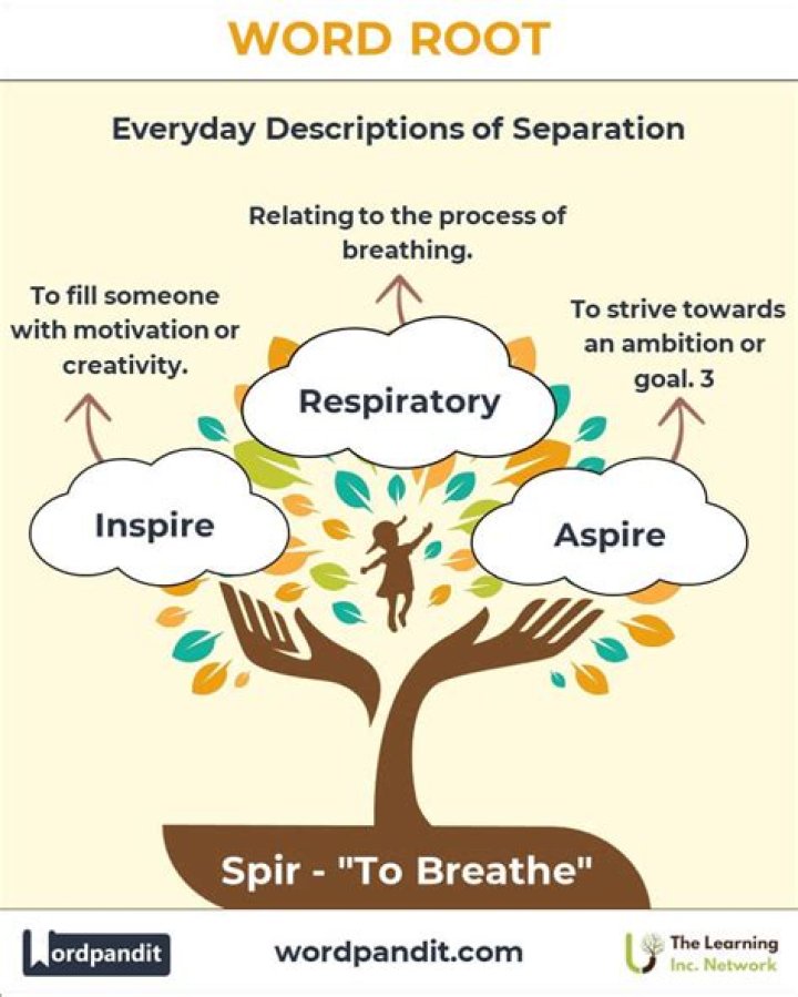 What is the root Spir?