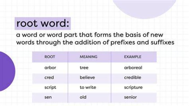 What is the root word of tract?