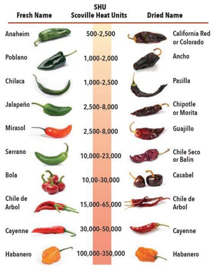 What is the spiciest part of a pepper?