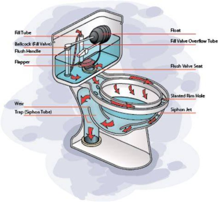 What is the toilet siphon?