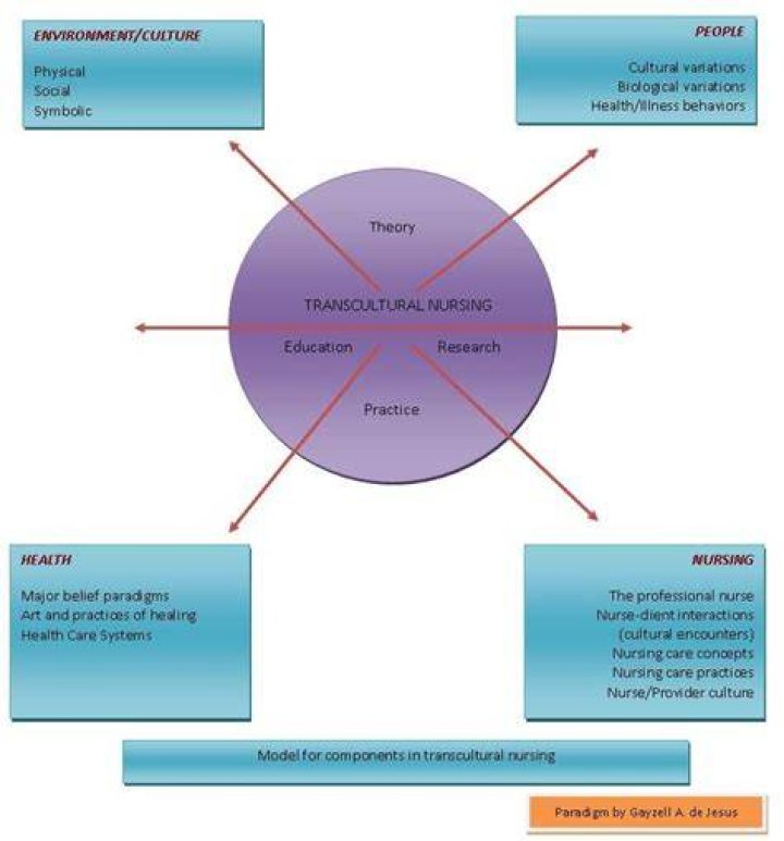 What is transcultural nursing theory?