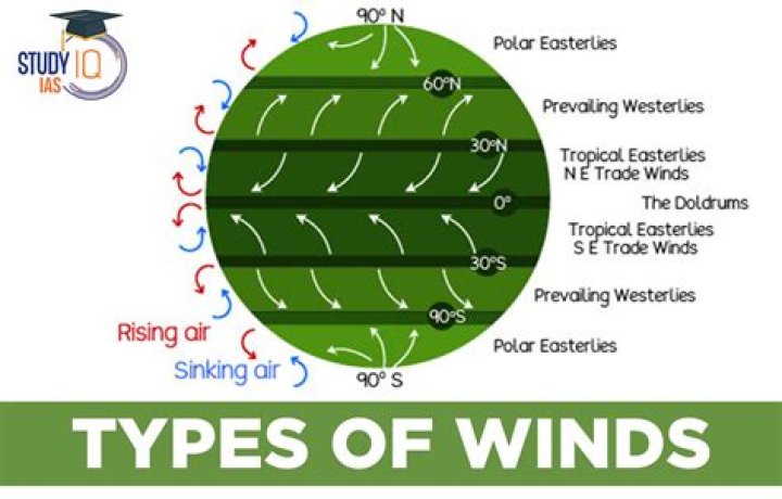What is true wind and relative wind?