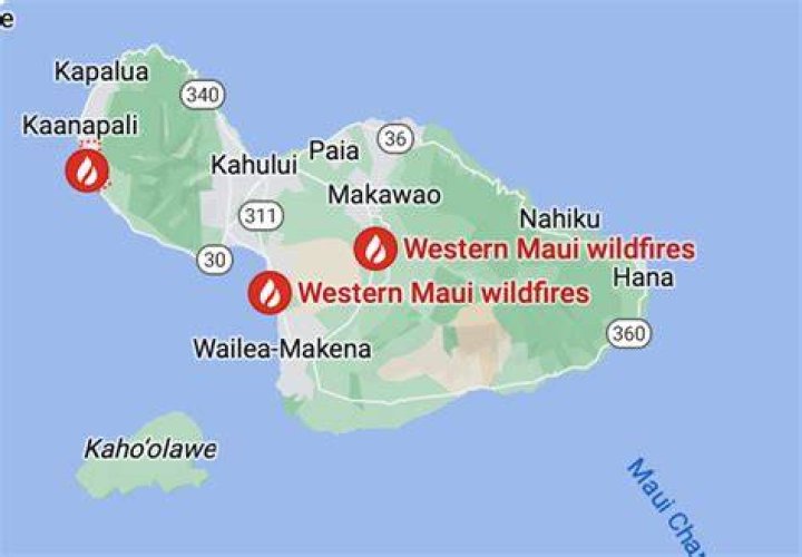 What kind of fish are in Maui?