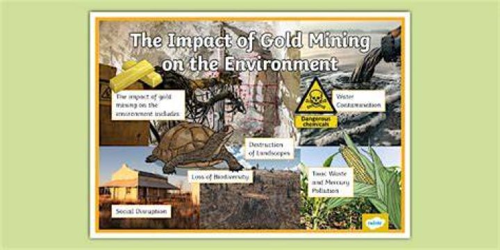 What negative impact did gold mining have in the West?