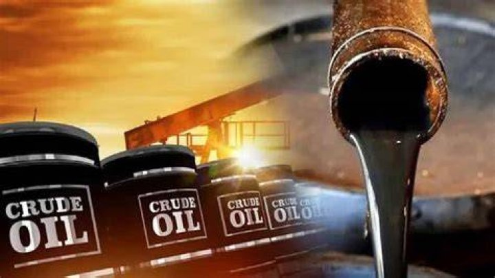 What Oil Can you use on slate?