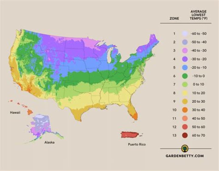 What planting zone is Maryland?