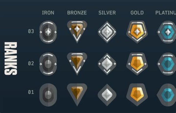 What’s the highest rank in the SAS?