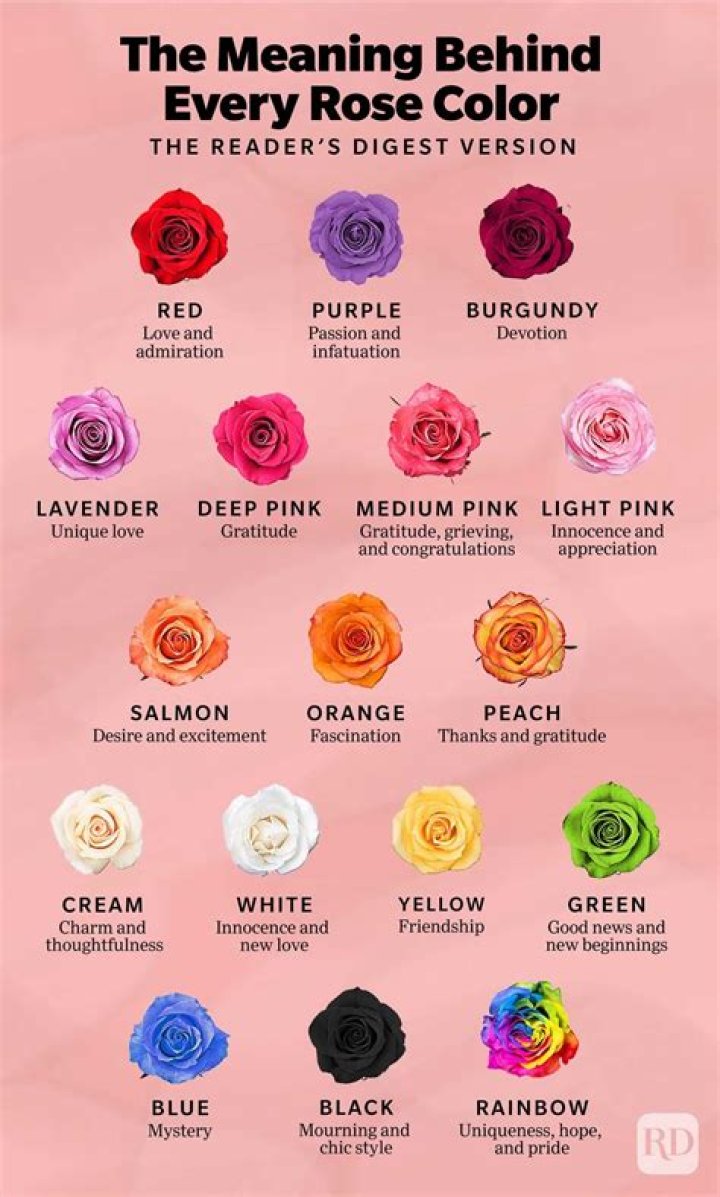 What’s the meaning behind pink roses?