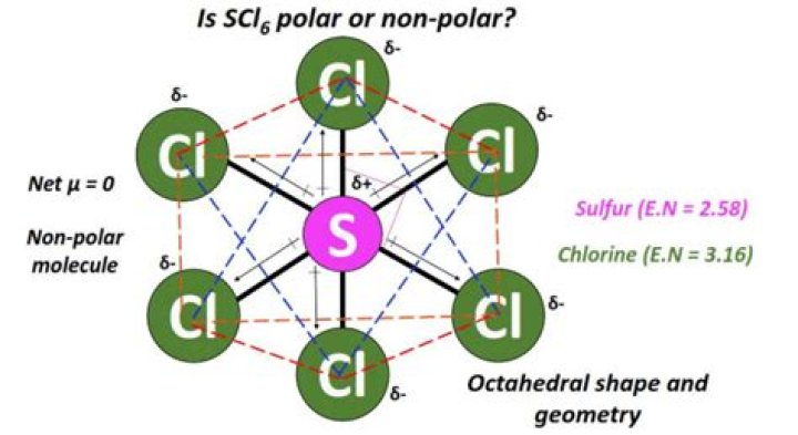 What shape is SCl6?