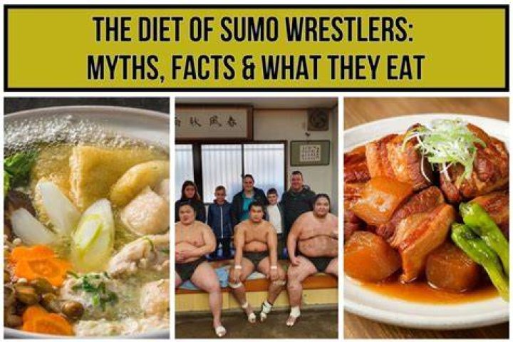 What should wrestlers eat to lose weight?