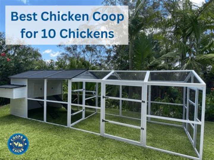 What size chicken coop do you need for 10 chickens?