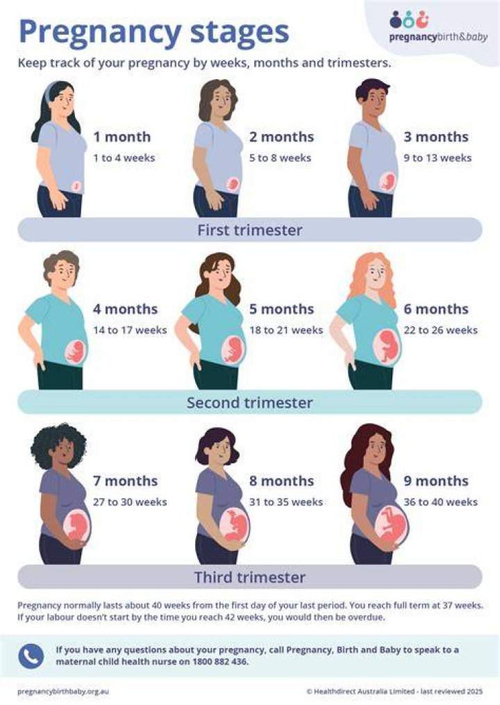 What term describes a woman in her first pregnancy?
