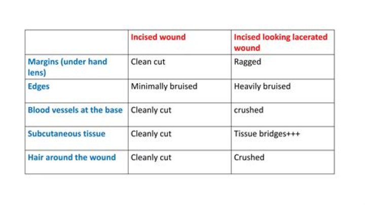 What term means torn ragged wound?