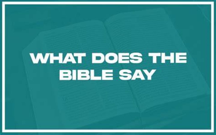 What the Bible says about salt?