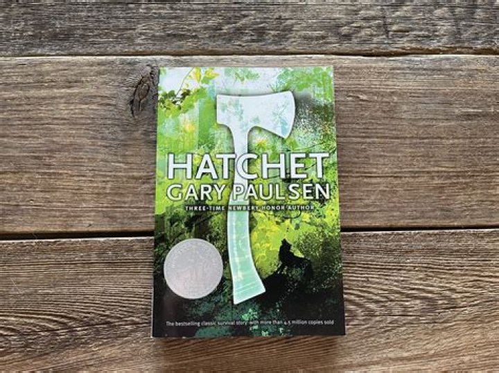 What was Gary Paulsen inspiration for writing Hatchet?