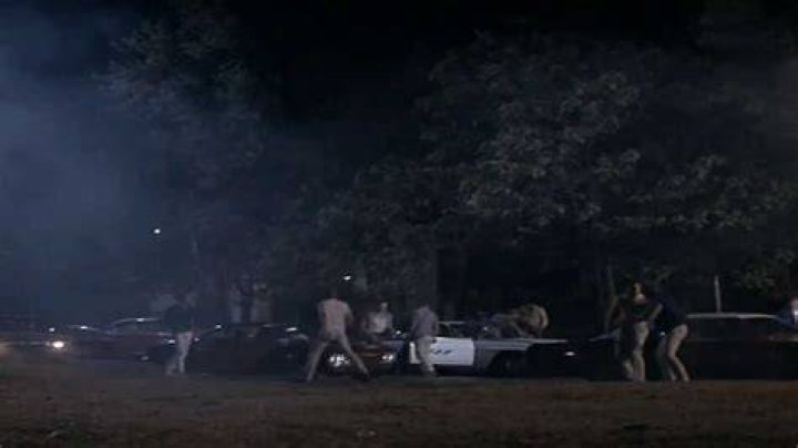 What were the reasons the different gang members fight?