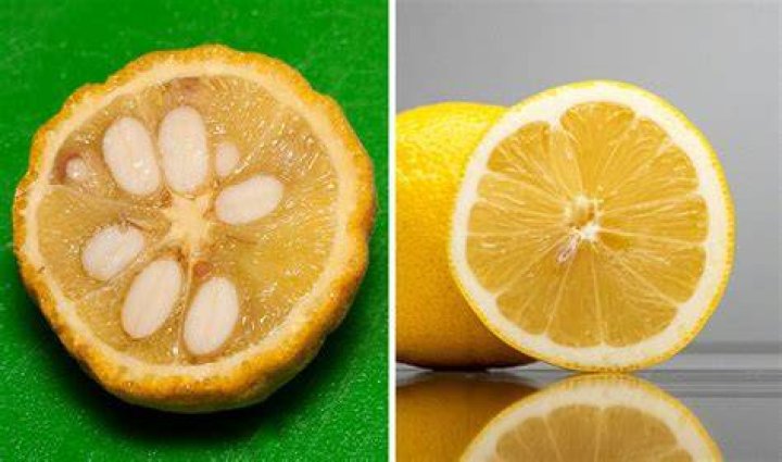 Where are lemons from originally?