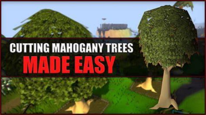Where are mahogany trees found in Runescape?