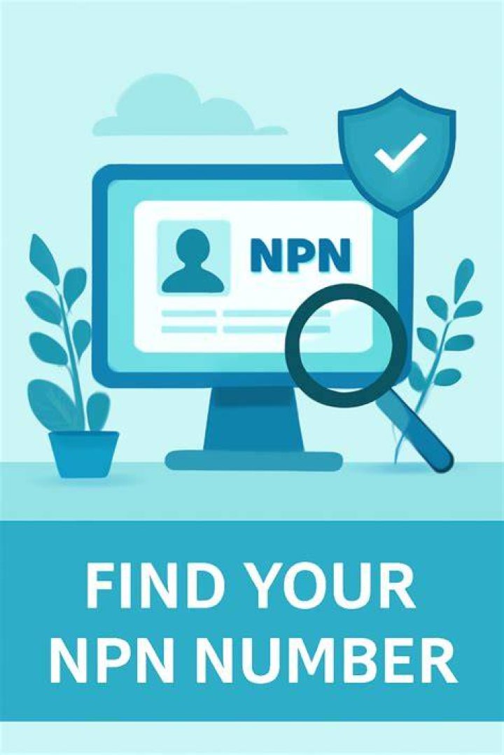 Where can I find my NPN number?