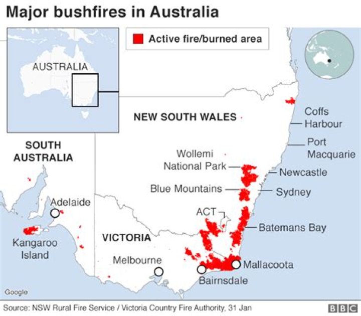 Where did the Black Saturday bushfire occur?