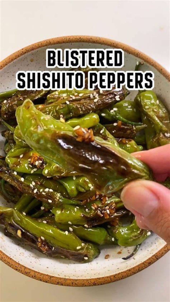Where do you store shishito peppers?