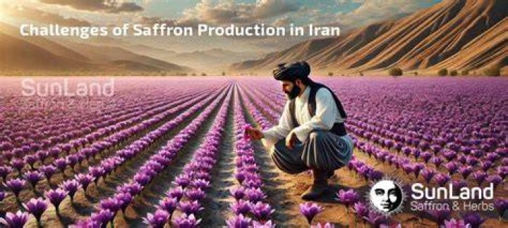 Where is saffron produced?
