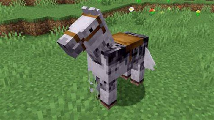 Which horses are fastest in Minecraft?